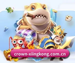 平台简介 - 体育资讯内容服务 | xingkong