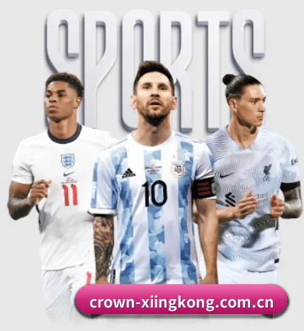 五大服务分区,信息按项目分类 - 多运动项目内容板块 | xingkong